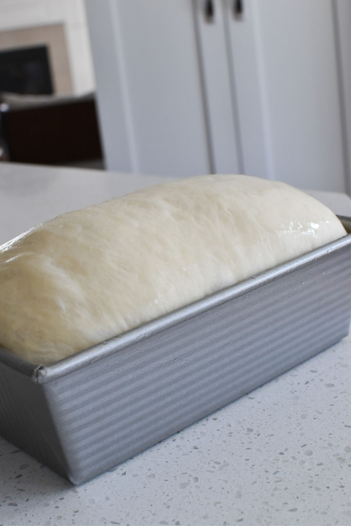 Side view of the risen down in a loaf pan.