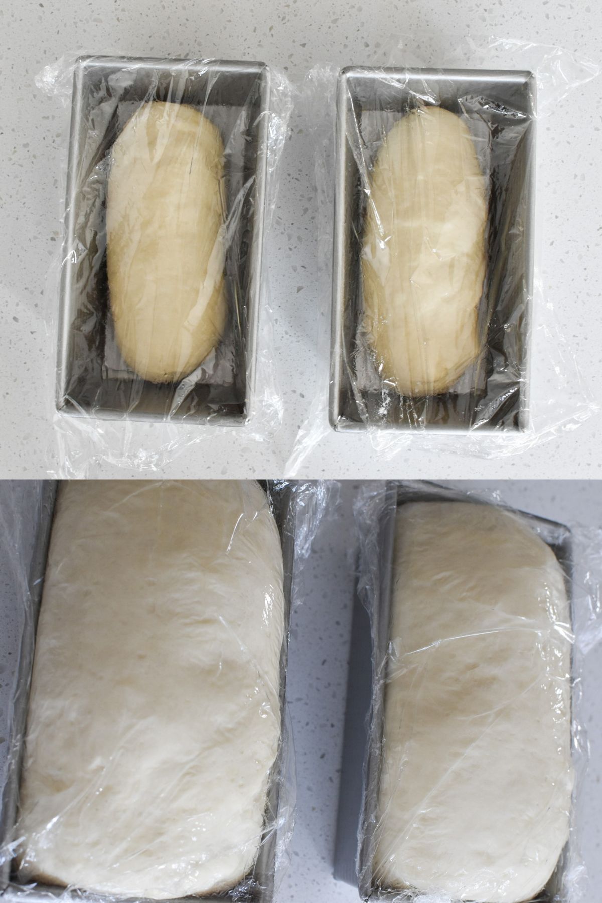 Before and after pictures of dough rising in the bread pans.