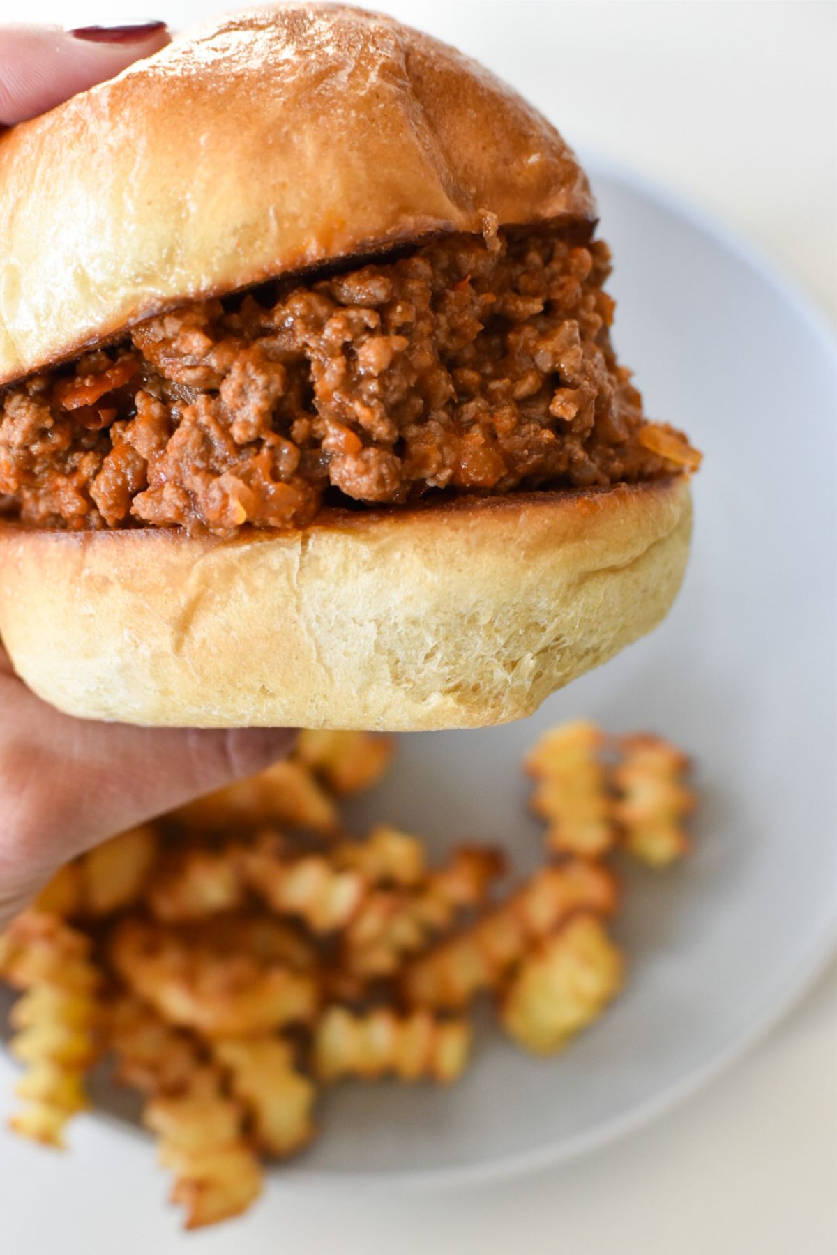 A hand holding a sloppy joe with a plate of french fries below it.