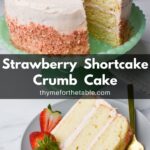 Strawberry crunch cake with a slice on a plate with the text: Strawberry Shortcake Crumb Cake.