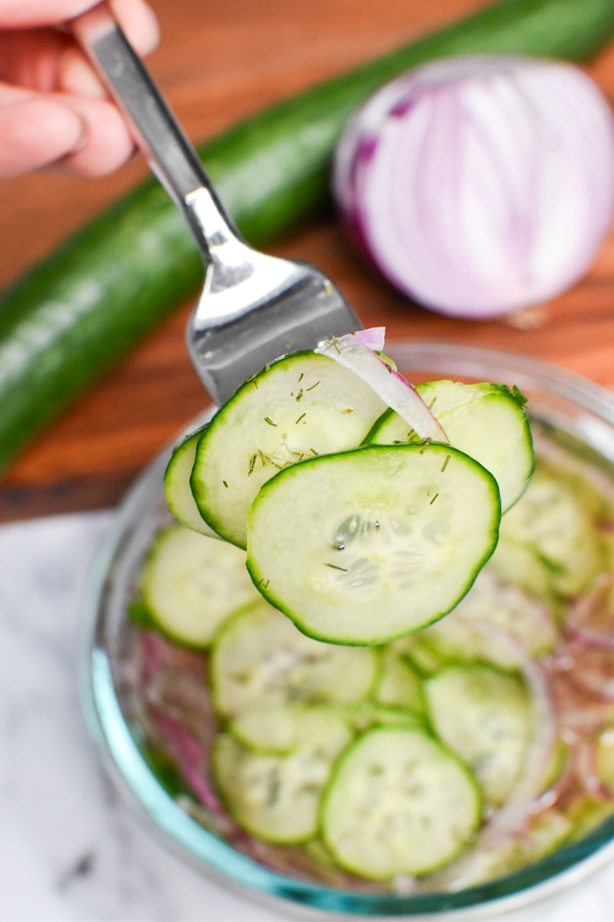 A fork with cucumbers and red onion on it.