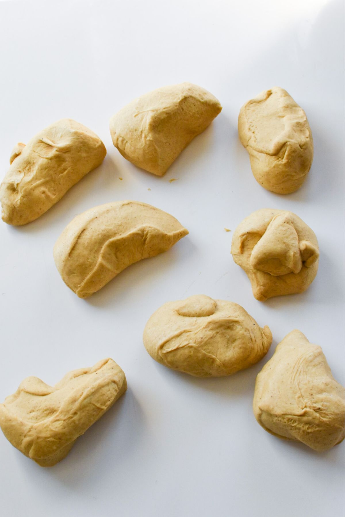 Pumpkin bagel dough cut into eight equal-sized pieces.