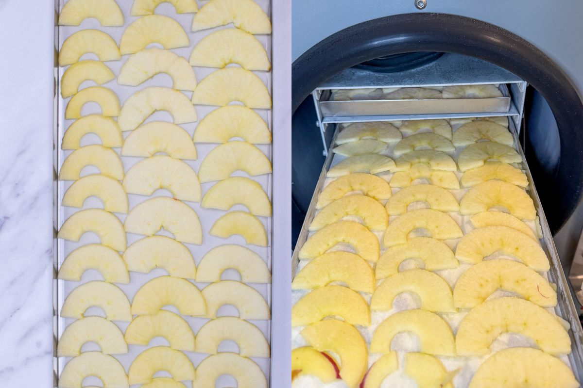 A metal tray of sliced apples and a the tray of apples being loaded into a freeze dryer chamber.
