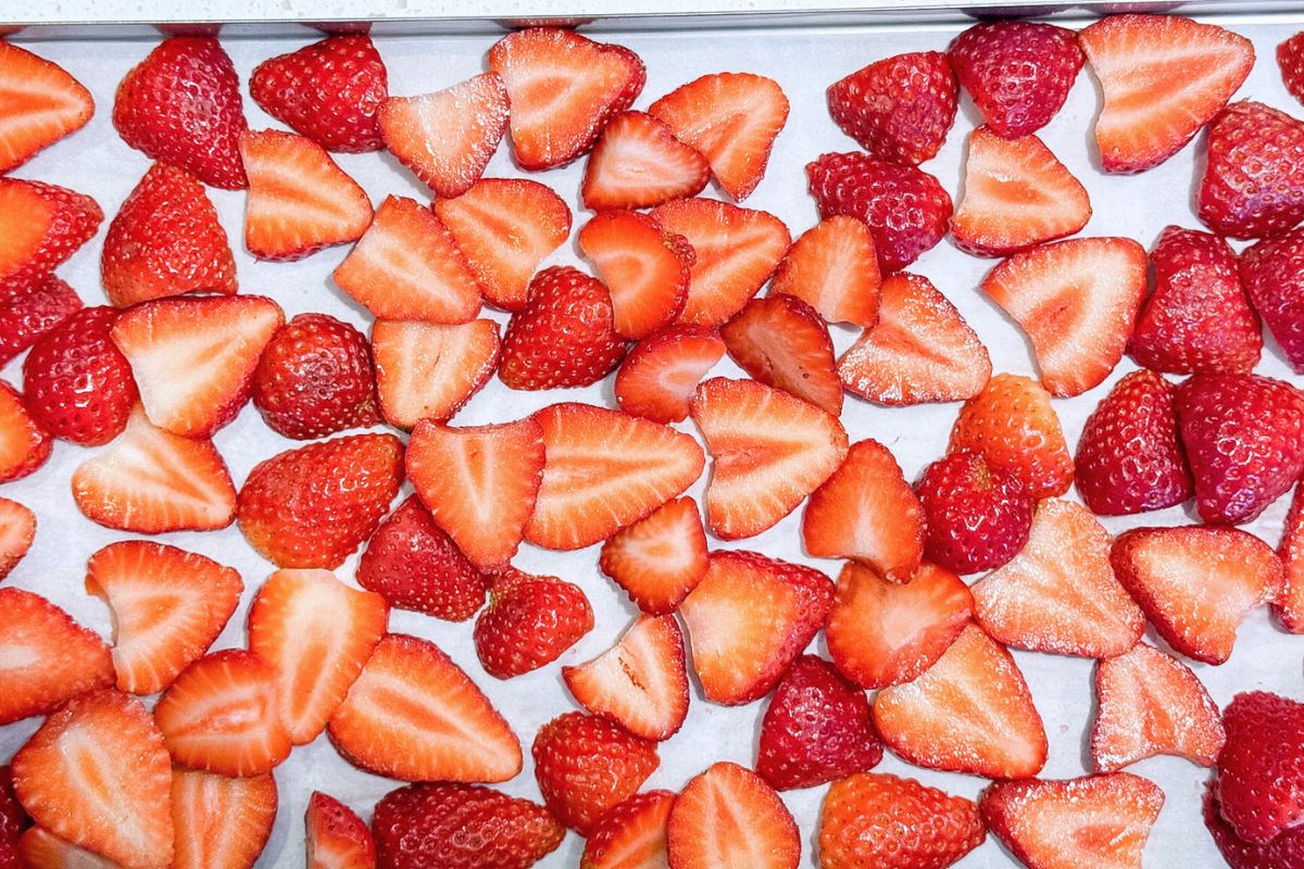 A freeze dryer tray lined with fresh sliced strawberries.